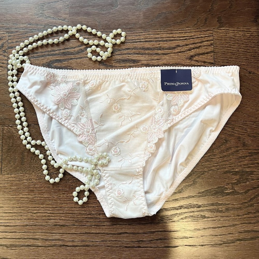 NWT Sexy in Pink Prima Donna Vintage Briefs Honfleur / Lotus 4476 in Plus size